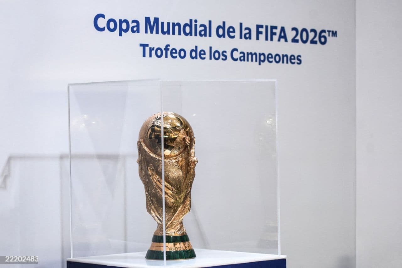 Every team's odds to win the World Cup